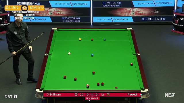 但真正决定 但真正决定